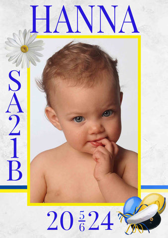 Skylt 29